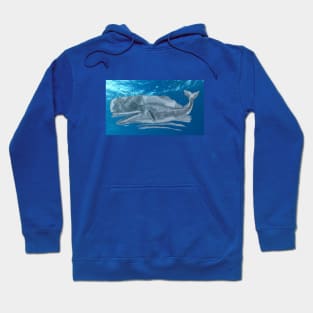 Cachalot by the Ocean Surface Hoodie